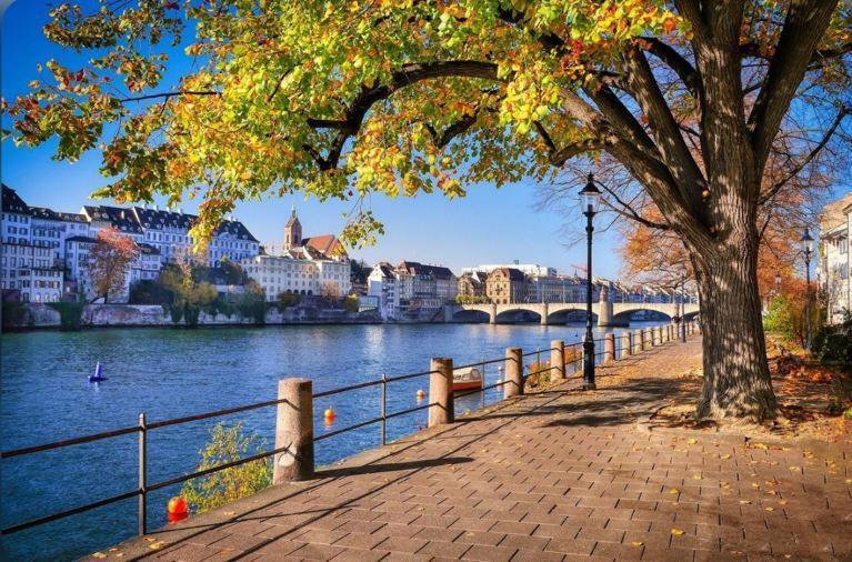 Апартаменты Schweiz Базель Экстерьер фото